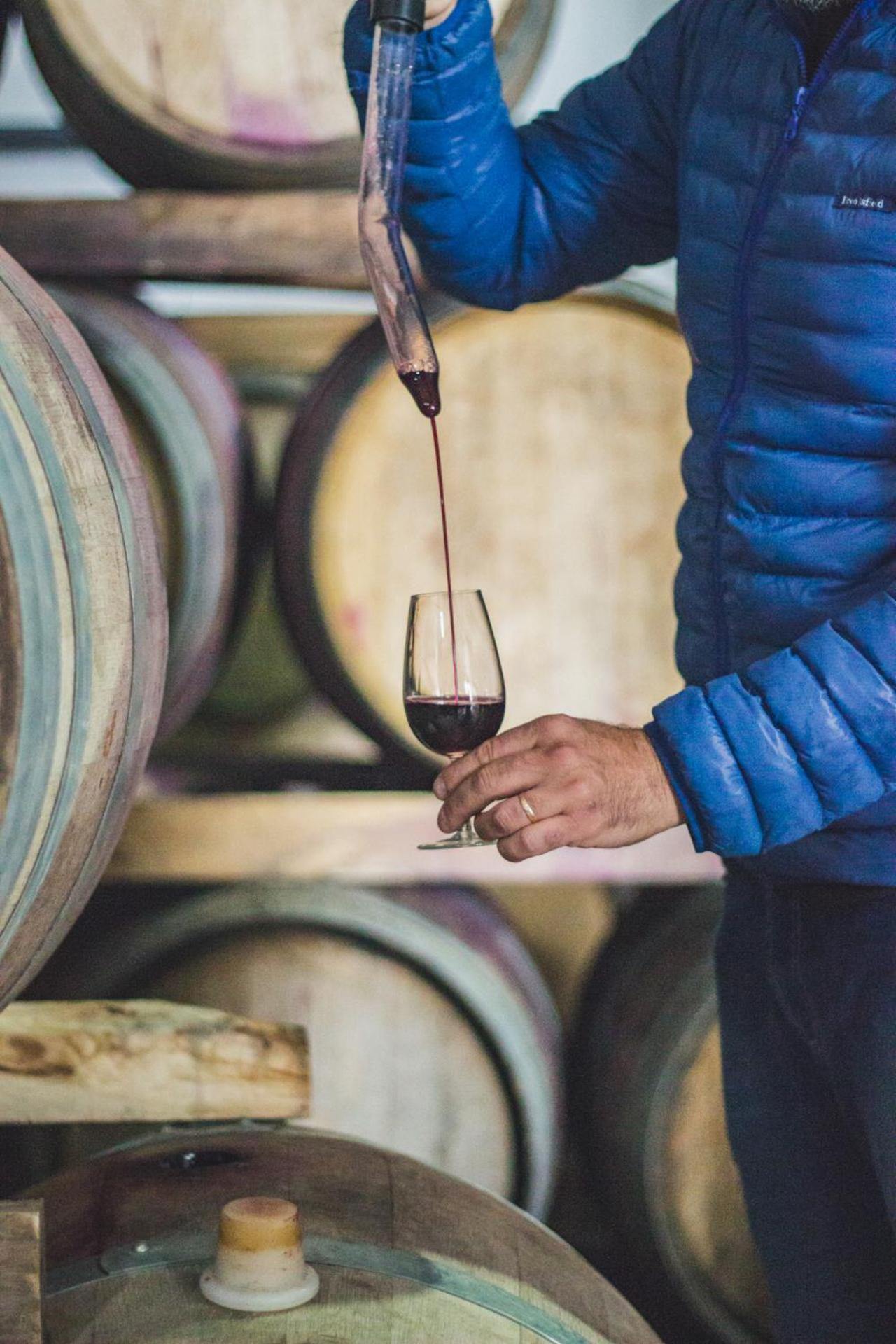 Postales Boutique Winery Hotel - Valle De Uco Colonia Las Rosas Ngoại thất bức ảnh