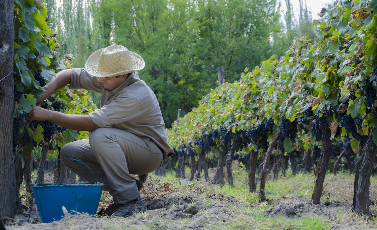 Postales Boutique Winery Hotel - Valle De Uco Colonia Las Rosas Ngoại thất bức ảnh