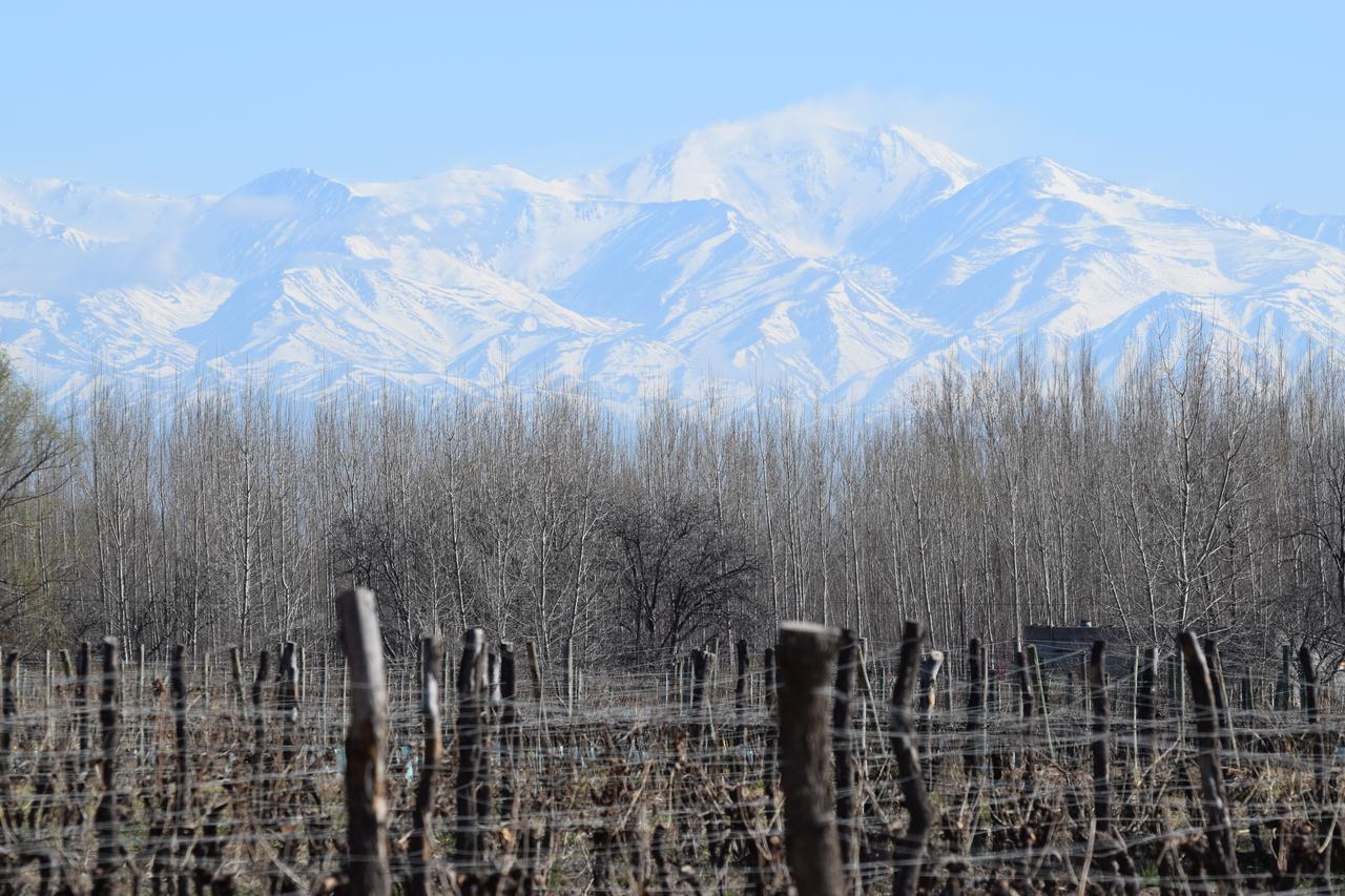 Postales Boutique Winery Hotel - Valle De Uco Colonia Las Rosas Ngoại thất bức ảnh