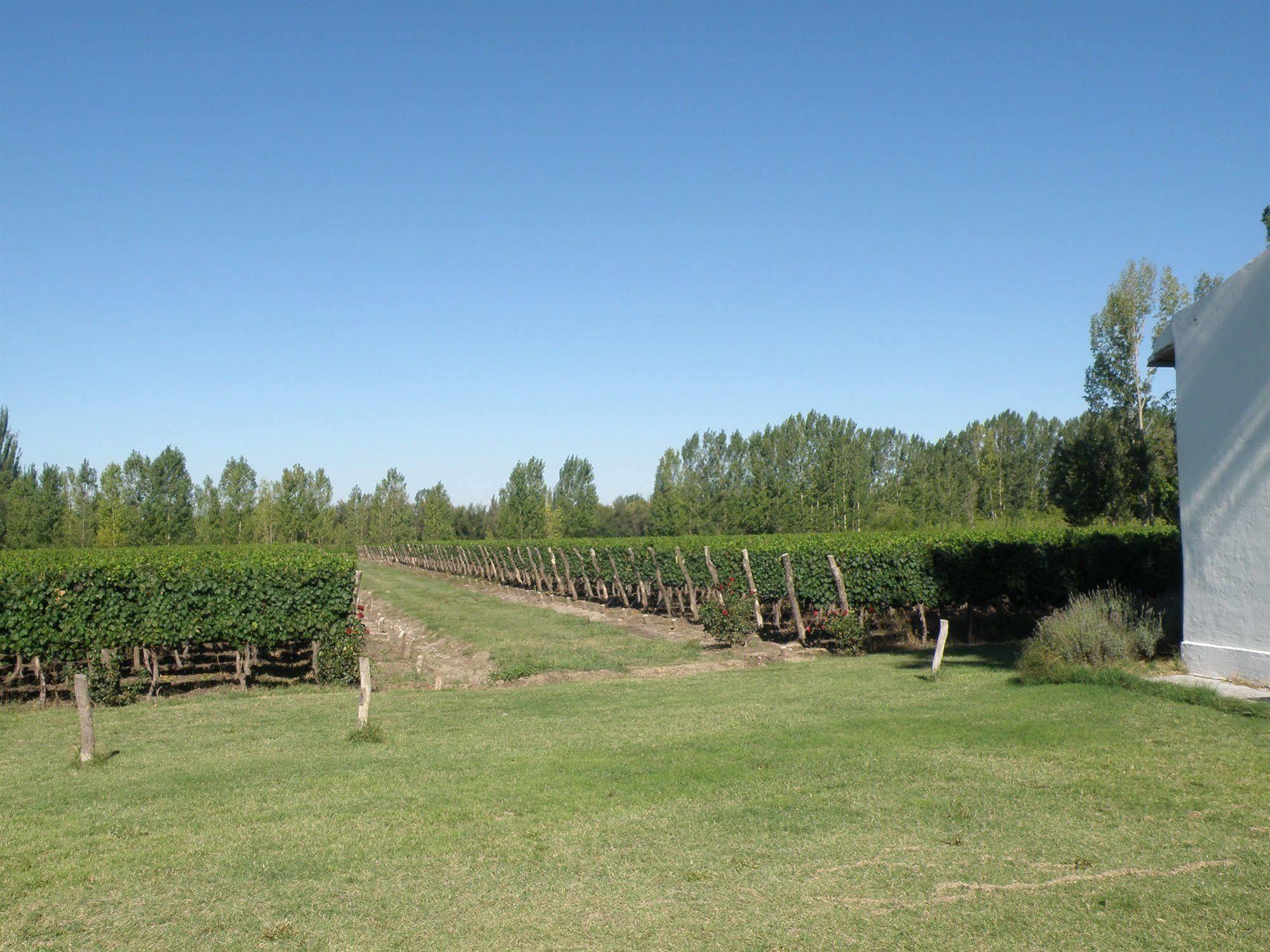 Postales Boutique Winery Hotel - Valle De Uco Colonia Las Rosas Ngoại thất bức ảnh