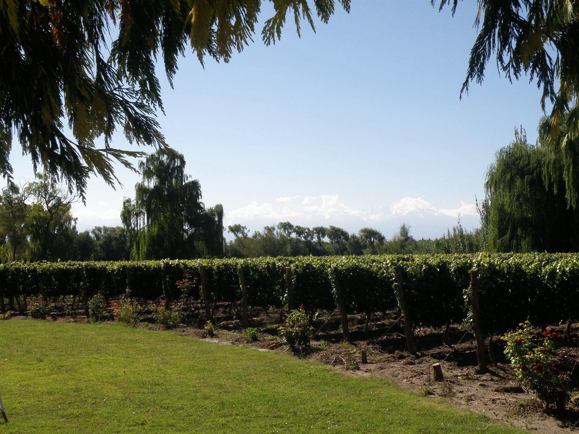 Postales Boutique Winery Hotel - Valle De Uco Colonia Las Rosas Ngoại thất bức ảnh