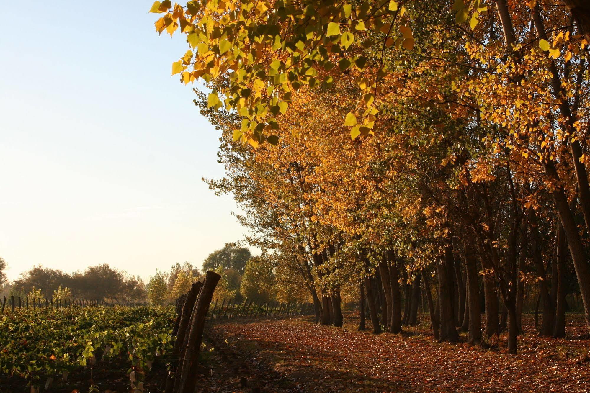Postales Boutique Winery Hotel - Valle De Uco Colonia Las Rosas Ngoại thất bức ảnh