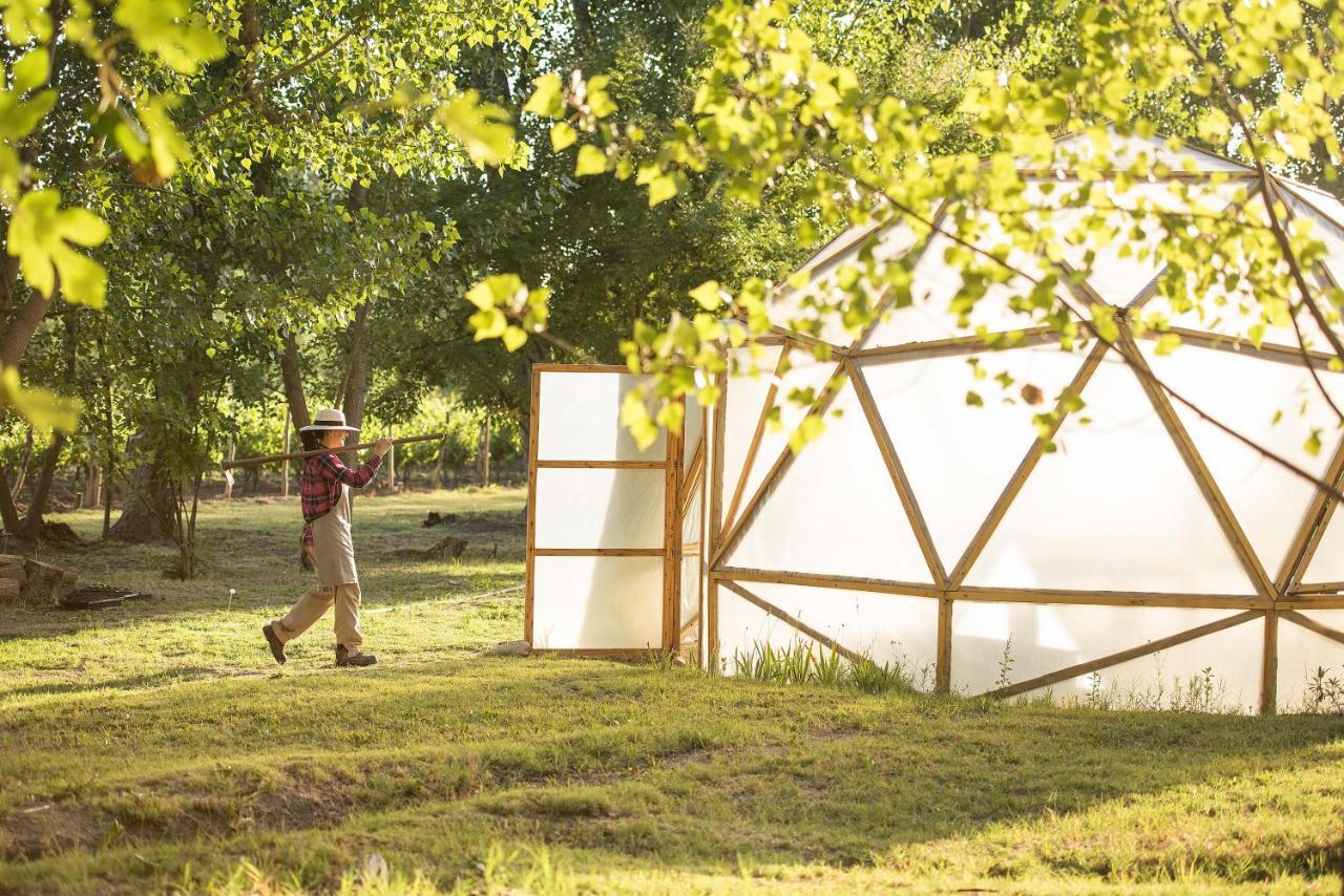 Postales Boutique Winery Hotel - Valle De Uco Colonia Las Rosas Ngoại thất bức ảnh